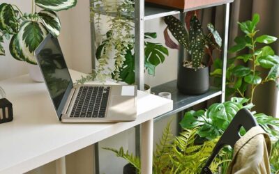 Descubre cómo las plantas artificiales pueden transformar la decoración de tu hogar