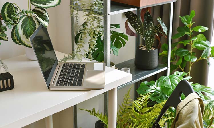Plantas artificiales para la decoración de interiores