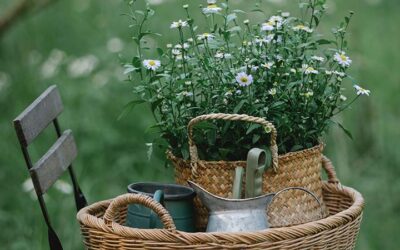 Claves para decorar un jardín pequeño