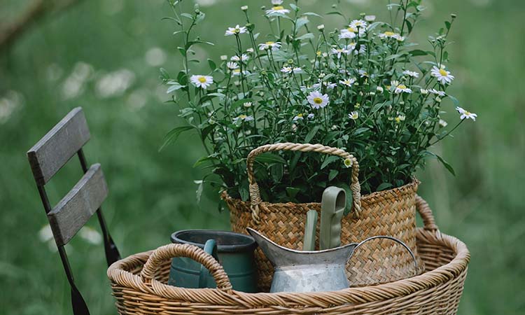 decorar jardín pequeño