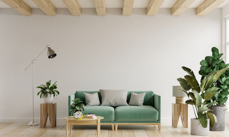 Descubre ideas de decoración con plantas de interior para transformar tu hogar en un espacio natural, acogedor y lleno de vida.